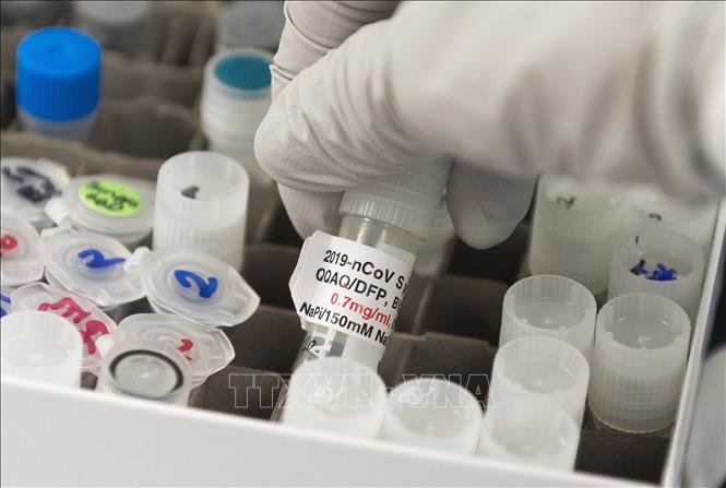 WHO kêu gọi thế giới chia sẻ vaccine phòng COVID-19