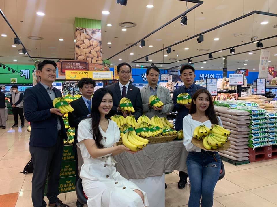 Chuối Việt Nam đã chính thức được bày bán trong hệ thống siêu thị của Lotte Mart