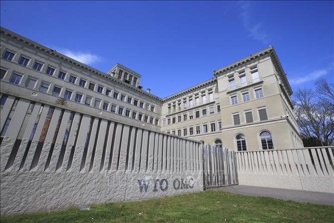 ECOWAS ủng hộ ứng cử viên người Nigeria trở thành tân Tổng giám đốc WTO