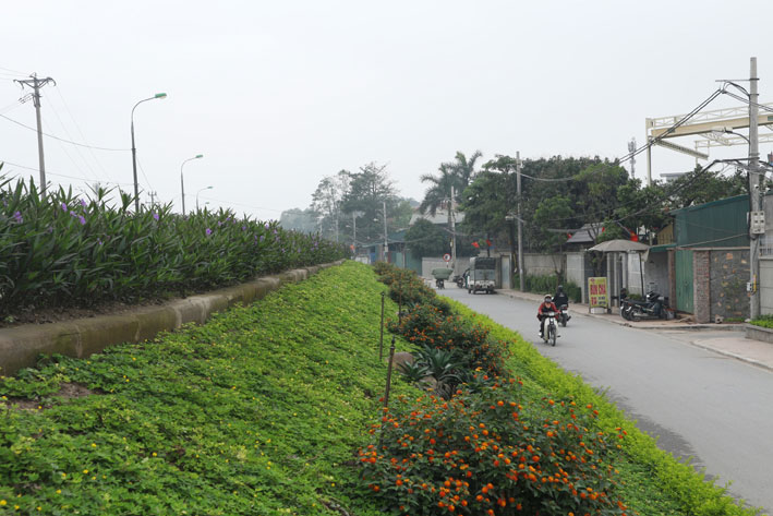Phong trào thi đua “Xây dựng đê kiểu mẫu”