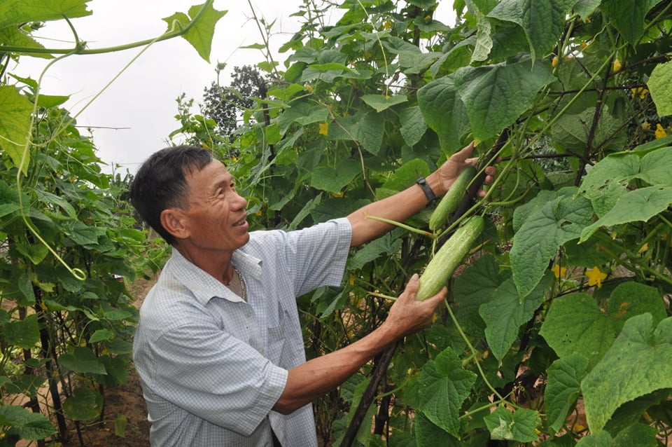 Cẩm Xuyên Nông thôn có nhiều khởi sắc từ xây dựng nông thôn mới