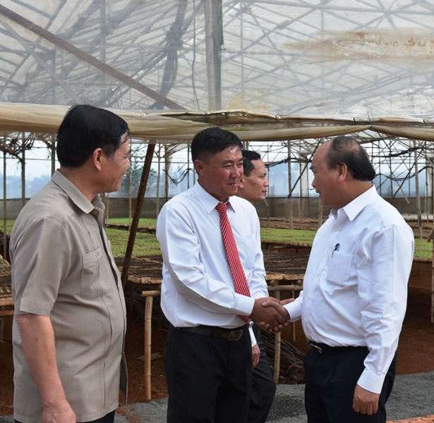 Người nông dân tiên phong đưa nông sản Việt ra thế giới