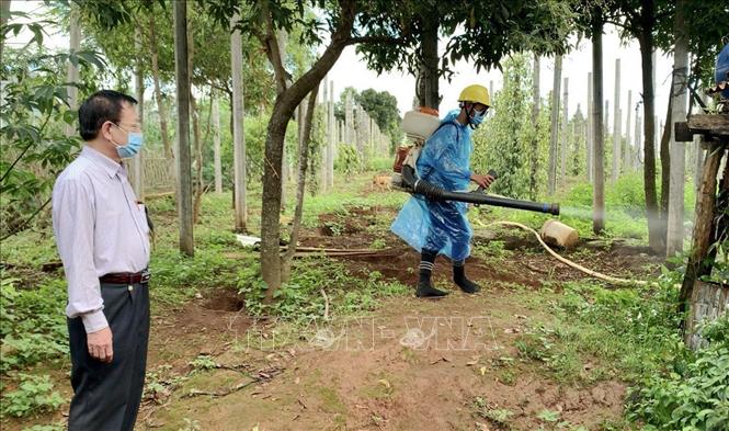 Gia Lai phát hiện 10 ca bệnh bạch hầu, 1 bệnh nhân đã tử vong