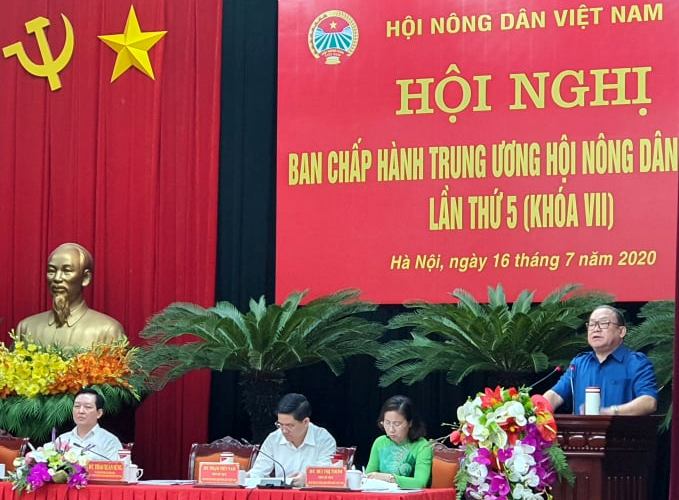 Tập trung xây dựng tổ chức đảng ở Hội Nông dân