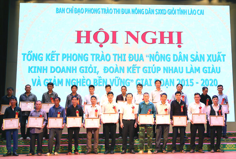 Lào Cai khen thưởng nông dân sản xuất, kinh doanh giỏi