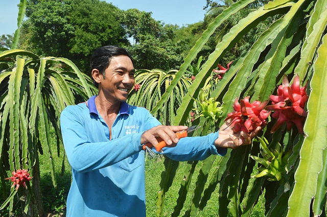 Đẩy mạnh ứng dụng công nghệ cao trong phát triển sản phẩm nông nghiệp