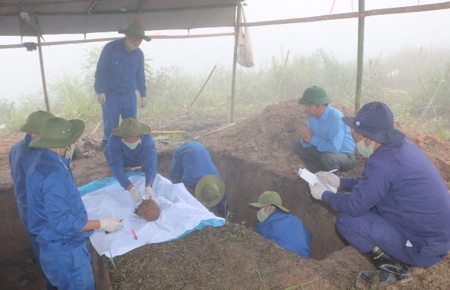 Nghĩa tình trên đất nước Triệu Voi