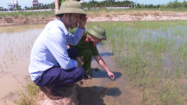 Cảnh báo hiểm họa từ việc bẫy chuột bằng điện