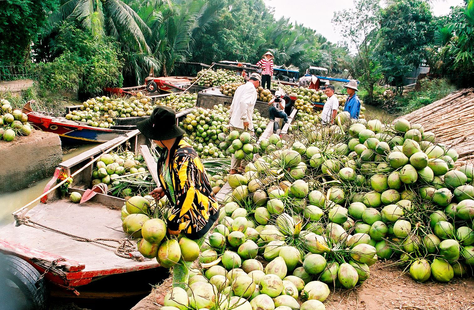 Xây dựng Bến Tre trở thành trung tâm trái cây đặc sản vùng Đồng bằng sông Cửu Long