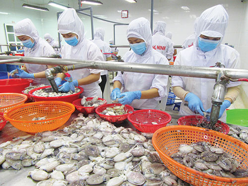 Bình Thuận tìm giải pháp đẩy mạnh xuất khẩu hàng hóa