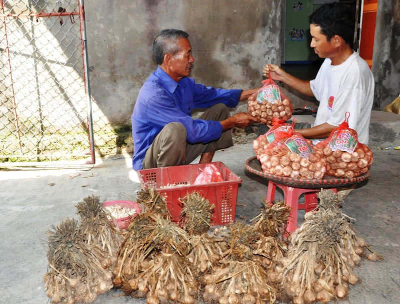 Nhiều sản phẩm địa phương được cấp giấy chứng chỉ chỉ dẫn địa lý