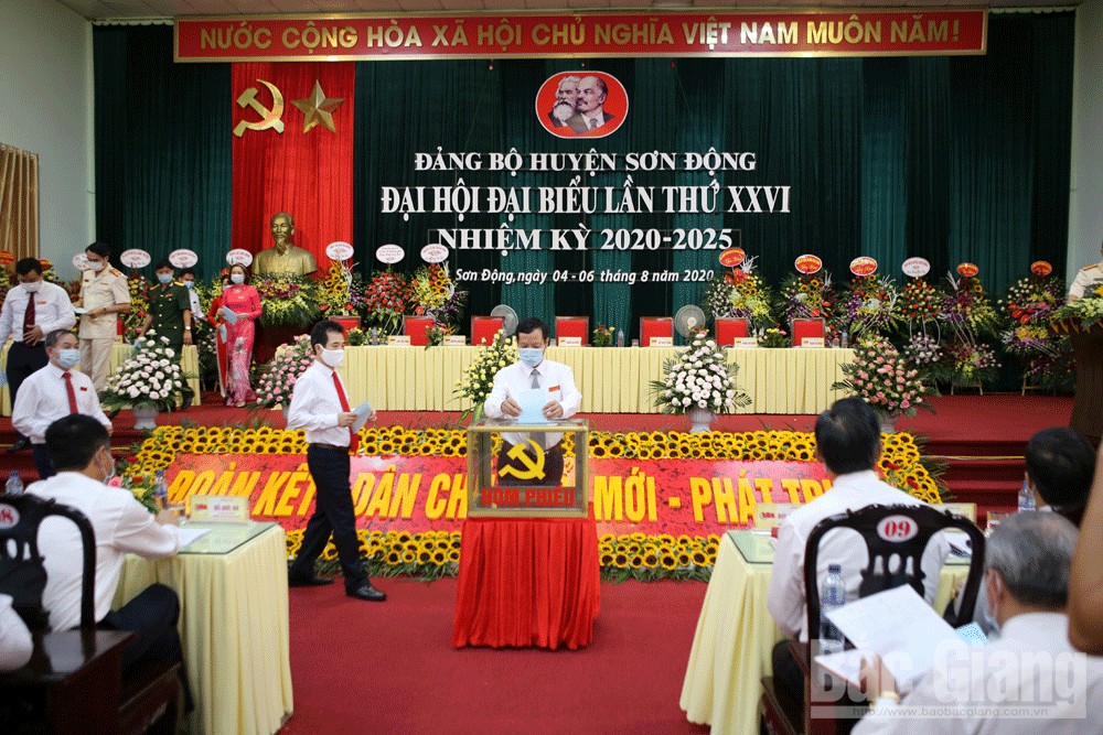 Phát huy tiềm năng, thế mạnh kinh tế rừng