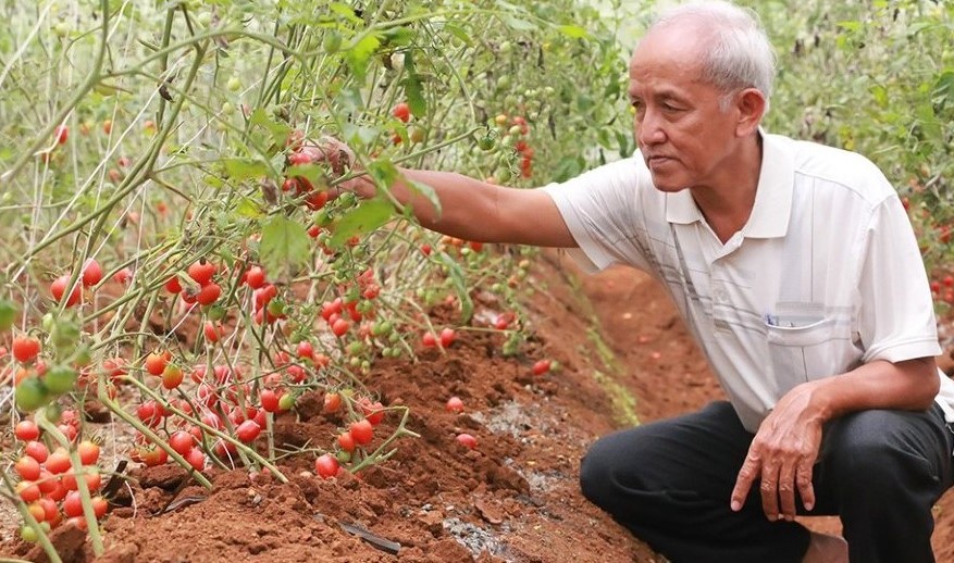 Đắk Nông Hình thành 5 vùng sản xuất nông nghiệp công nghệ cao