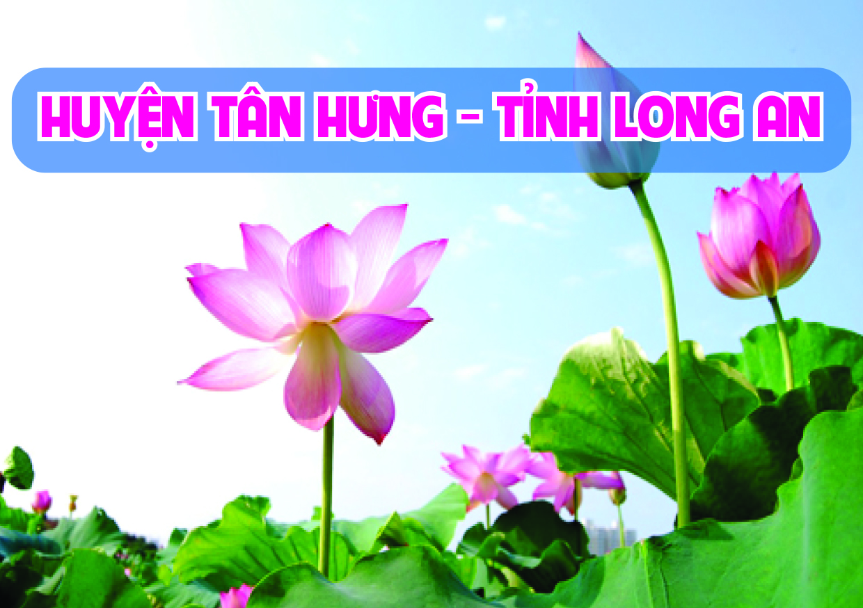 Khởi sắc từ xây dựng nông thôn mới