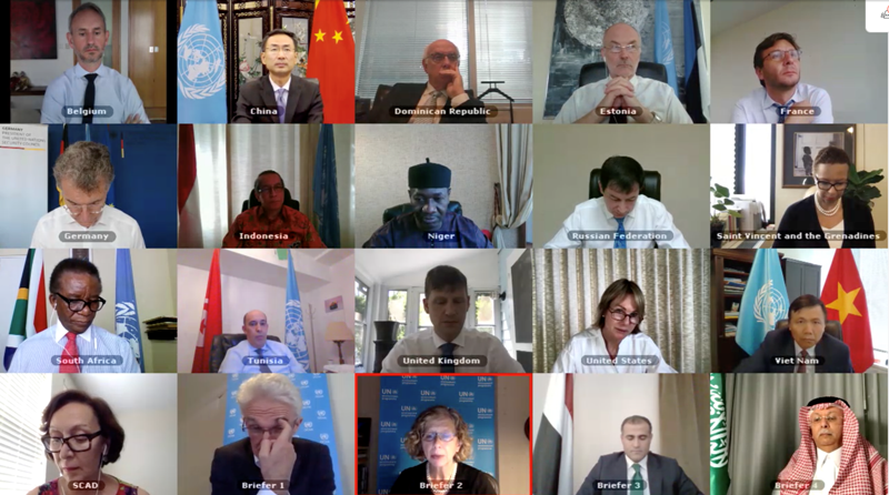 Hội đồng Bảo an Liên hợp quốc họp về tình hình Yemen