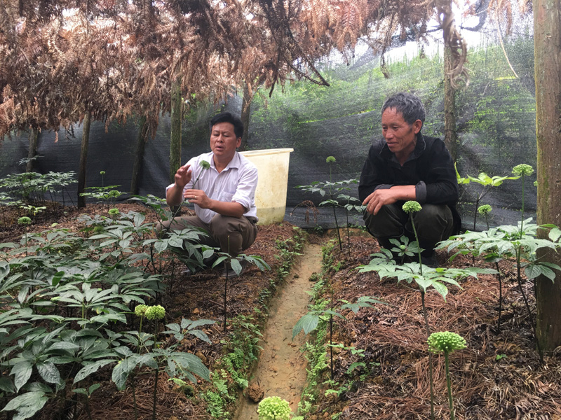 Si Ma Cai xây dựng cán bộ vừa “mở”, vừa “động” và “liên thông”