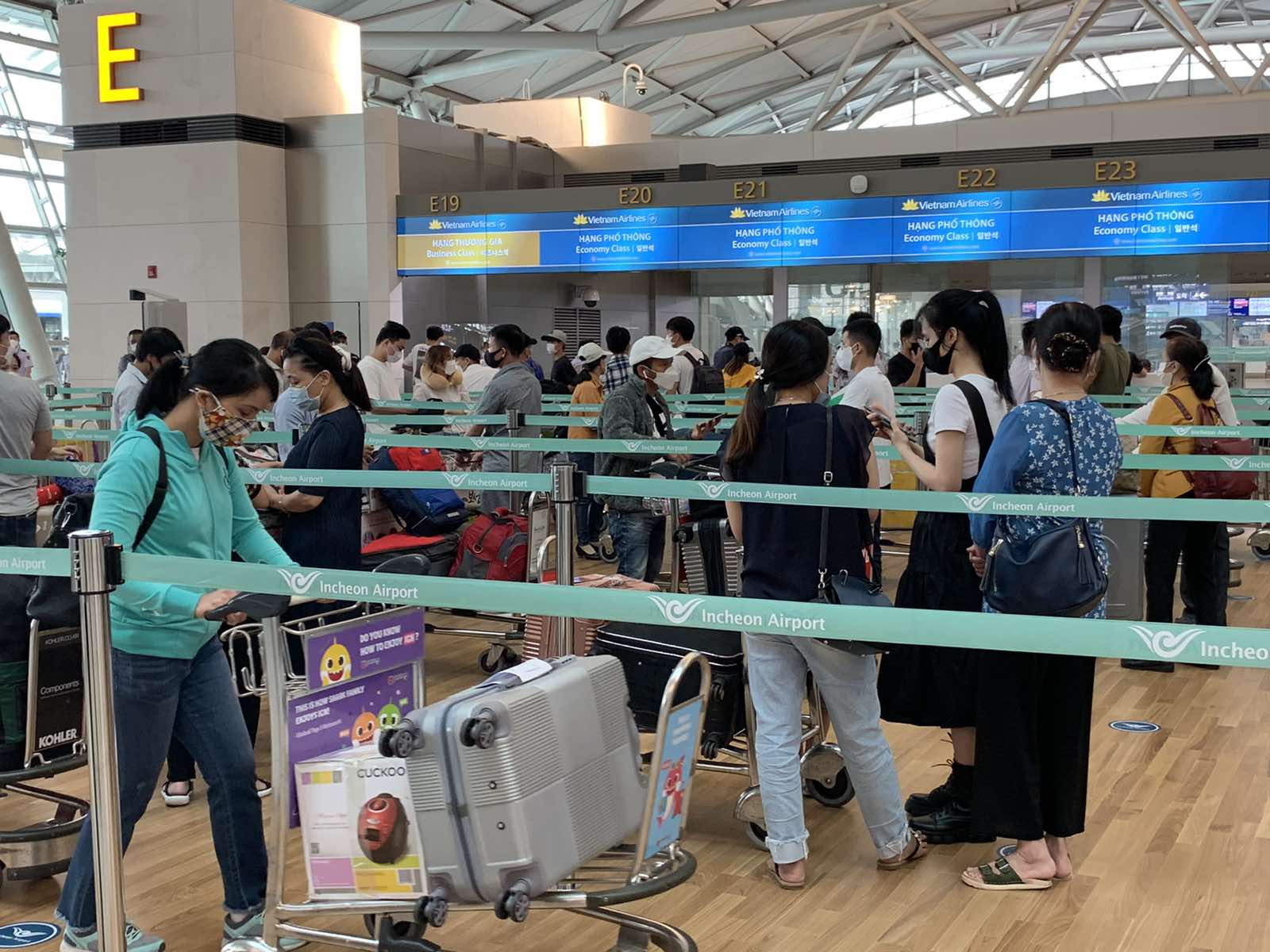 Đưa công dân Việt Nam từ Hàn Quốc, và Singapore về nước