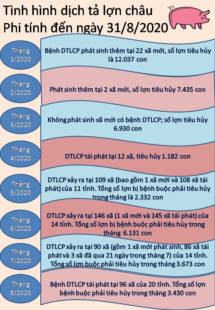 Tiêu hủy hơn 43 000 con lợn do dịch tả lợn Châu Phi
