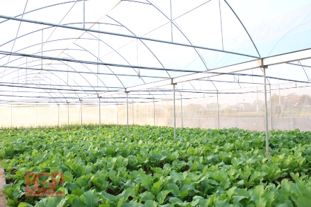 Bắc Giang Ứng dụng khoa học công nghệ, thúc đẩy phát triển kinh tế vùng DTTS