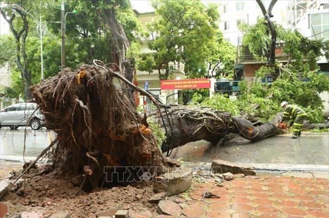Còn khoảng 3 - 4 cơn bão ảnh hưởng đến đất liền trong năm nay