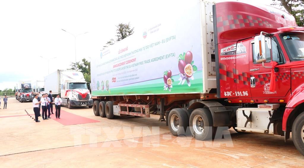 Tín hiệu đáng mừng từ nông sản Việt