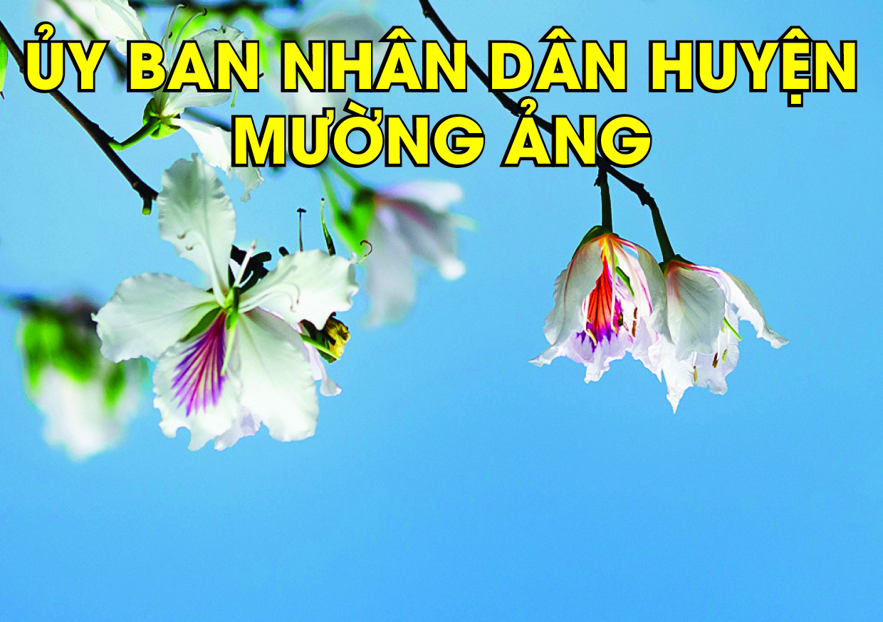 Kỷ niệm 66 năm Ngày giải phóng Thủ Đô