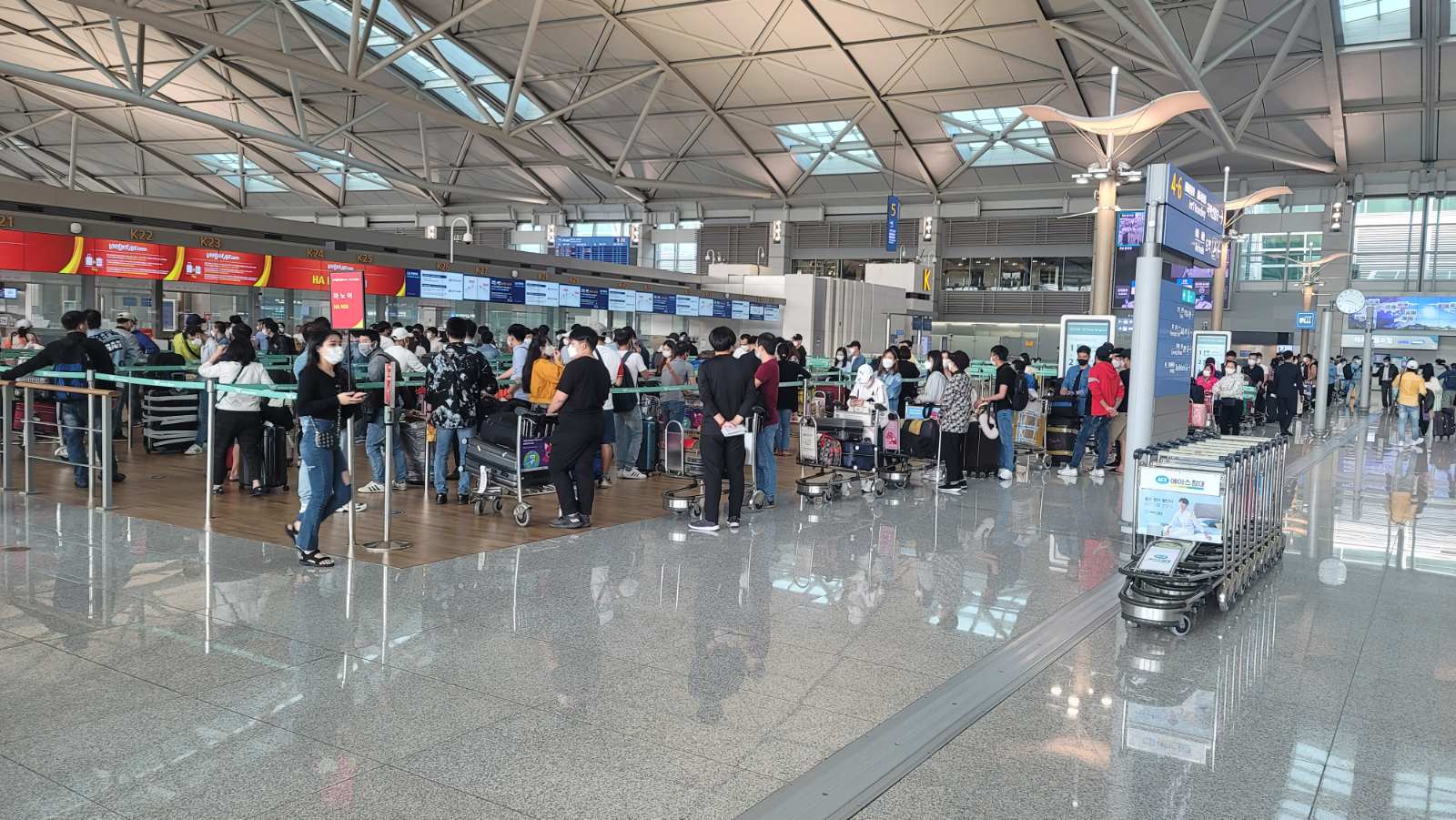 Đưa hơn 250 công dân Việt Nam từ Hàn Quốc về nước an toàn