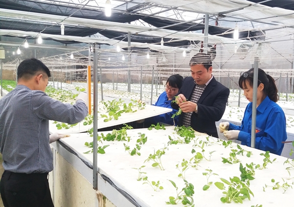 Phát huy vai trò khoa học công nghệ trong phát triển kinh tế - xã hội