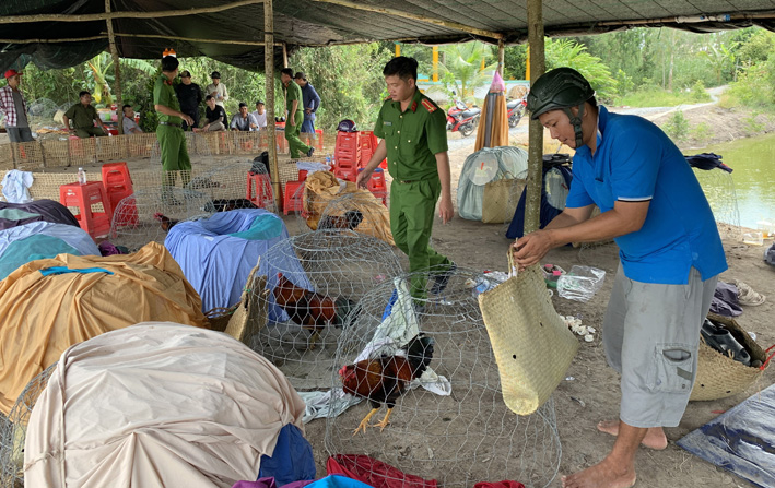 Triệt phá tụ điểm đá gà ăn tiền quy mô lớn tại Long An
