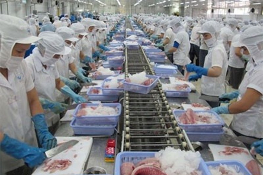 Thủy sản xuất khẩu có thể đạt kim ngạch 2,3 tỷ USD trong quý IV 2020