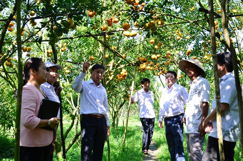 Phong trào thi đua góp phần hoàn thành vượt mức các chỉ tiêu phát triển kinh tế-xã hội