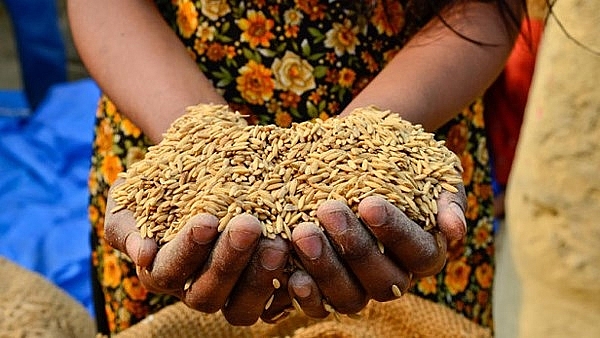 Giúp đỡ người dễ bị tổn thương vượt qua khủng hoảng