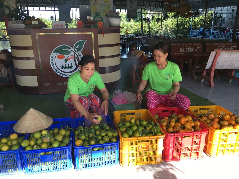 Đồng Tháp Tái cơ cấu nông nghiệp được triển khai đúng hướng