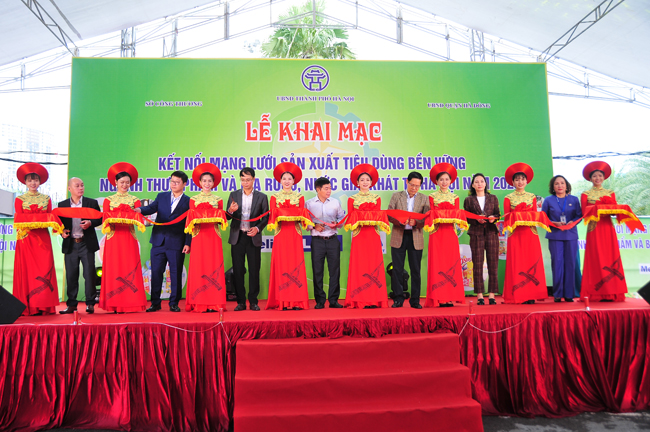 Thúc đẩy kết nối mạng lưới sản xuất, tiêu dùng bền vững