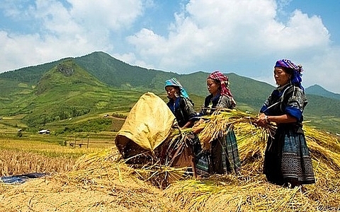 Lập Hội đồng thẩm định Chương trình phát triển KTXH miền núi