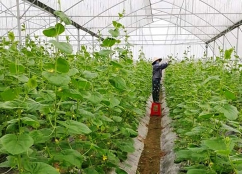 Thanh Hóa Thúc đẩy hơn nữa sự phát triển lĩnh vực khoa học công nghệ