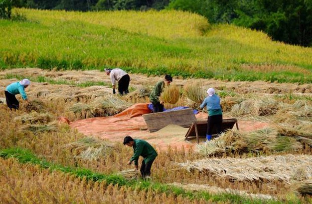 Cao Bằng Tạo đột phá từ các chương trình trọng tâm