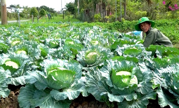 Trà Vinh Sáng tạo, sát thực tiễn trong học và làm theo Bác