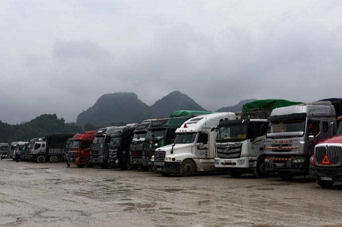 Tăng cường chống buôn lậu, vận chuyển trái phép gia súc, sản phẩm động vật qua biên giới