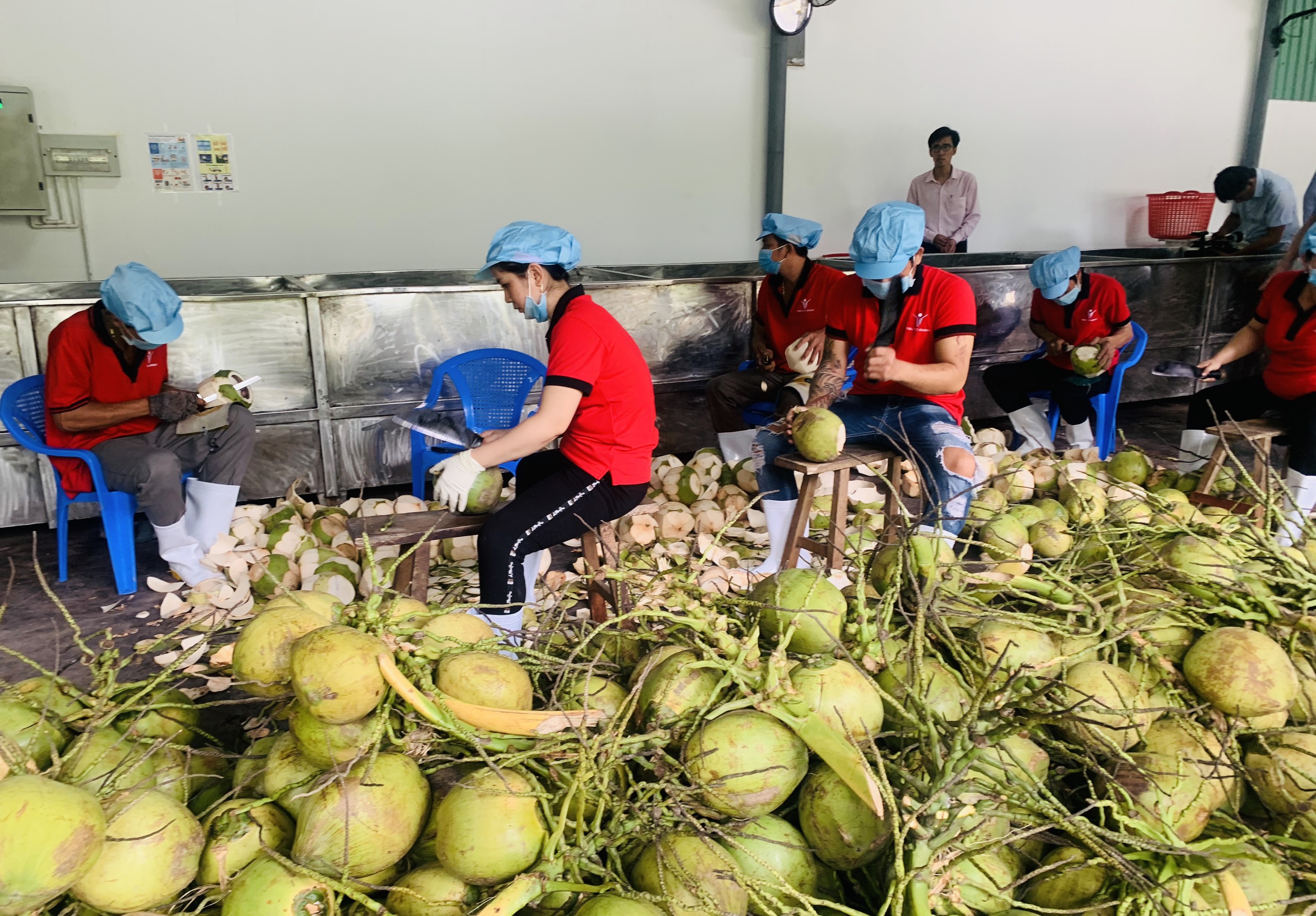 Tiếp tục xây dựng Bến Tre thành “địa phương khởi nghiệp”