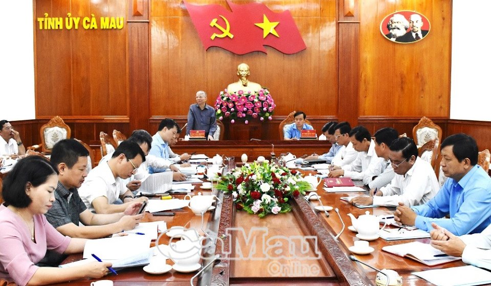 Cà Mau Nhiều kết quả tích cực trong công tác kiểm tra, giám sát