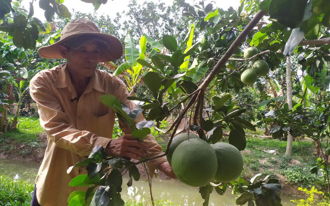 Bến Tre Nâng cao chất lượng, hiệu quả hoạt động của MTTQ các cấp