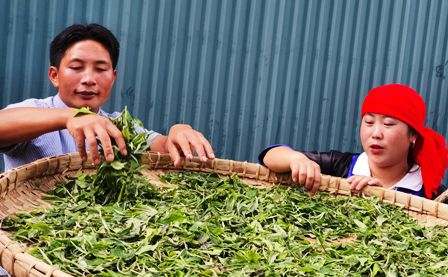 Phải khắc phục sản xuất nông nghiệp quy mô hộ nhỏ lẻ