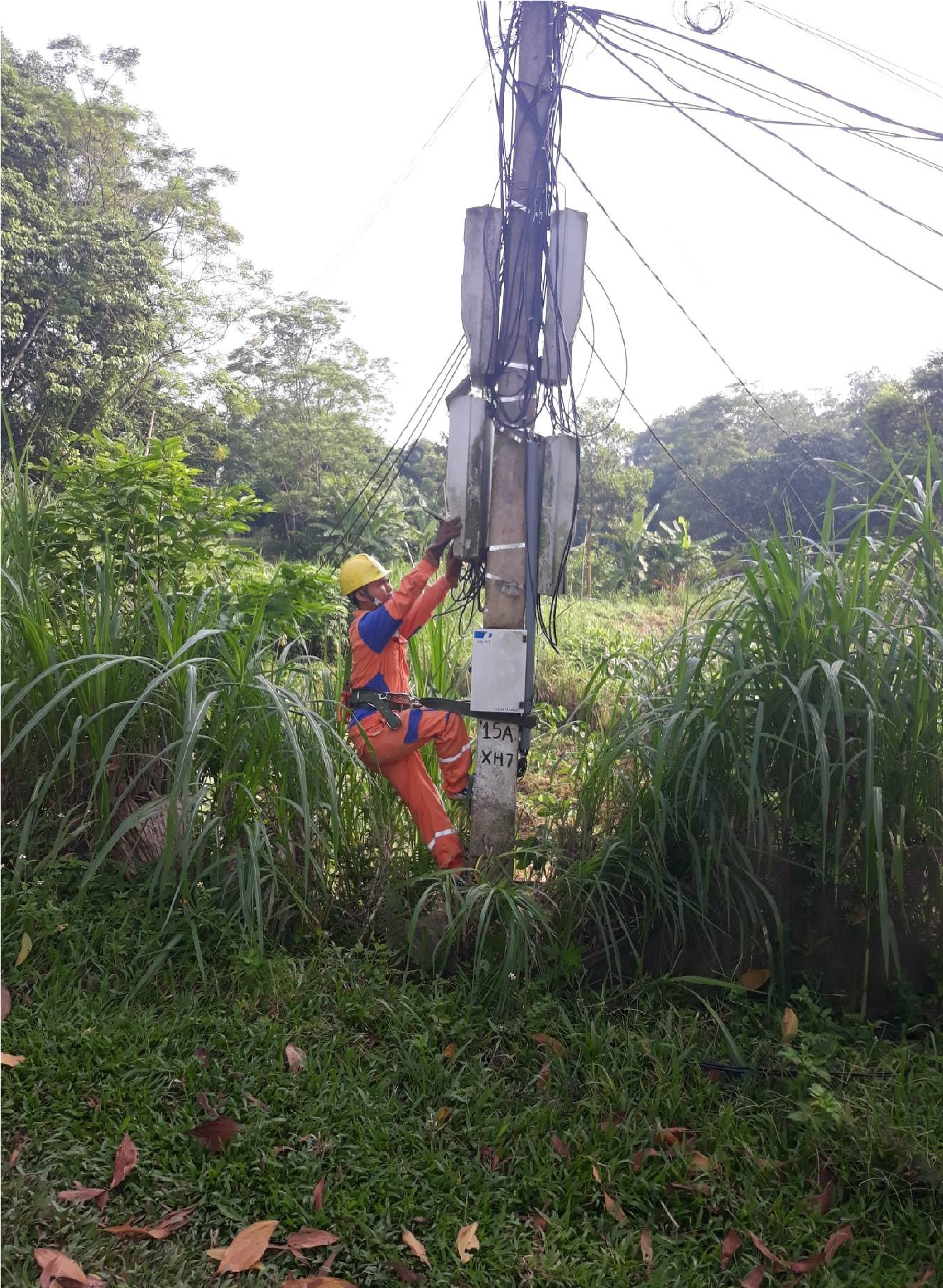 Công ty Điện lực Vĩnh Phúc Quyết tâm chỉnh trang lưới điện hạ thế