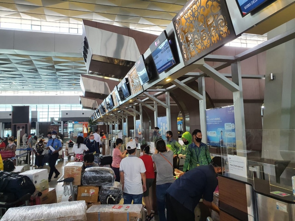 Đưa công dân Việt Nam từ Nhật Bản về nước