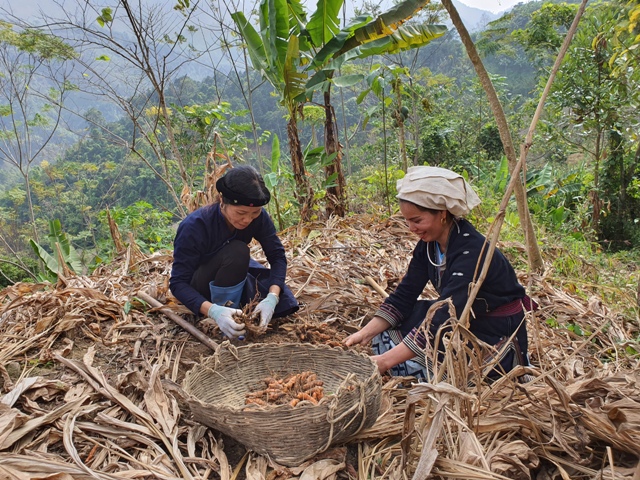 Phát huy, nâng cao địa vị, tăng cường đóng góp của phụ nữ và thúc đẩy bình đẳng giới