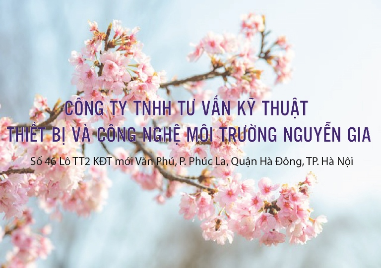 Chúc mừng năm mới Xuân Tân Sửu 2021