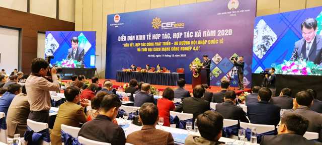 Liên kết cùng phát triển