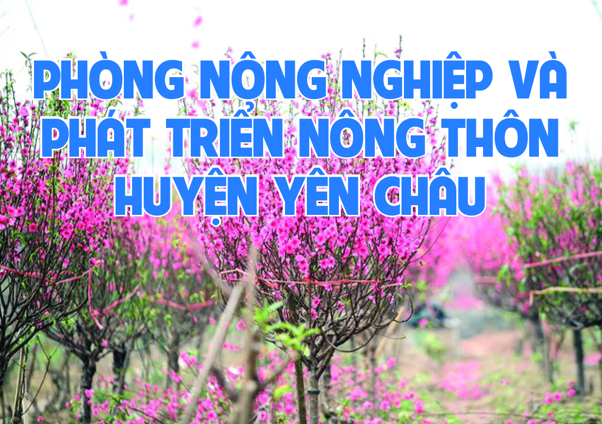 Hoàn thành nhiệm vụ phát triển kinh tế - xã hội năm 2020
