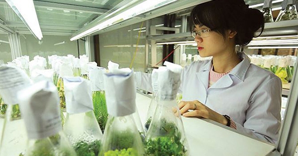 Bốn lĩnh vực Công nghệ ưu tiên nghiên cứu, phát triển